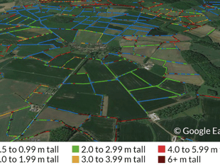 Cornwall tops national hedgerow counts