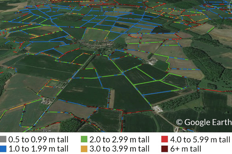 Cornwall Hedgerow Count