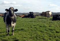 Farmer to benefit from new planning guidance
