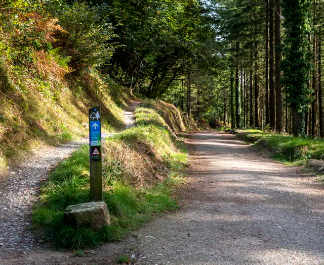 Public thanked as Cardinham Woods continues forest works