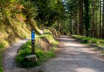 Cardinham Woods announces Storm Bert closure