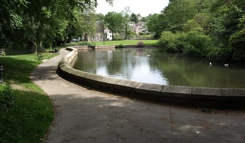 Bodmin's clueless criminals arrested