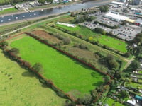 Plan for XL Bully walking area submitted to Council 