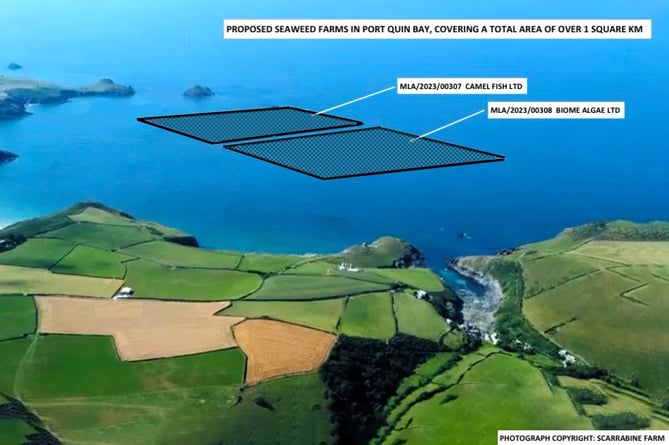 The proposed seaweed farm plans