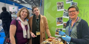 Cornish food and drink producers given £67,000