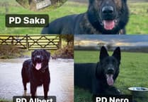 Police share some 'paw-some' news from their dog teams