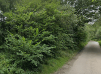 Appeal lodged after refusal 