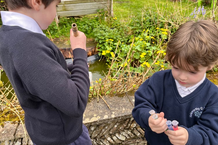 Holsworthy Science Project