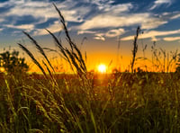Cornwall's agricultural landscape set to undergo a green revolution