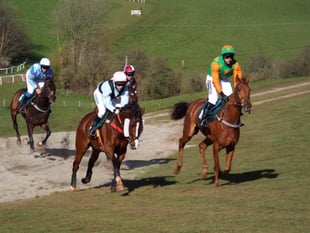 Stevenstone Hunt Point-to-Point report - Monday, May 6 