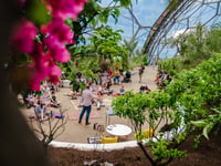 Visitors can expect a world of wonder during half term