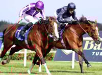 Plenty of winners in various competitions