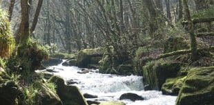 Discover nature on your doorstep