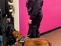 Police dog Skye teaching children the risk of drugs