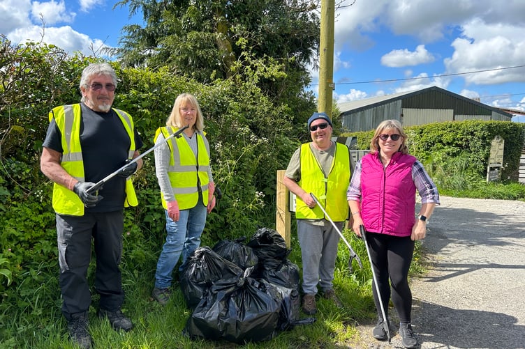 Holsworthy annual litter pick
