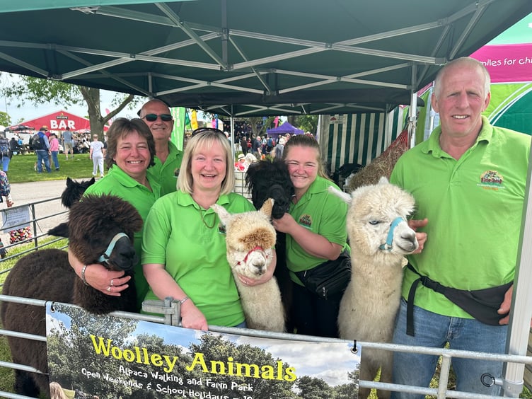 The team at Woolley Animals in Winkleigh with their alpacas