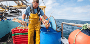 New initiative set to increase British consumption of Cornish seafood