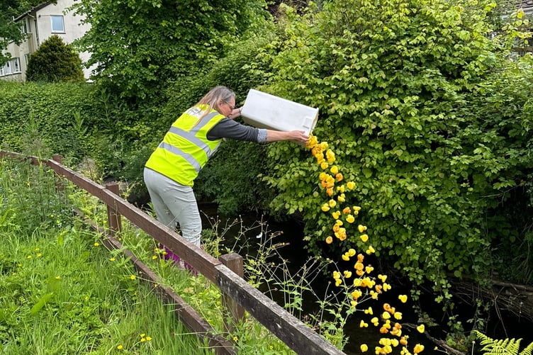 The ducks are launched ahead of the race