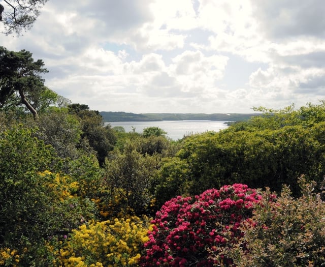 Private gardens across Cornwall and Devon are opening for charity