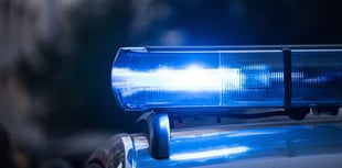 Armed police execute warrant over antique firearms
