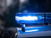 Armed police execute warrant over antique firearms