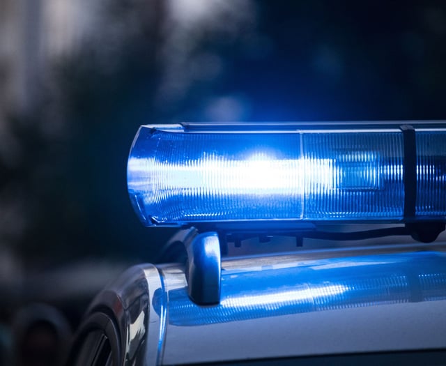 Armed police execute warrant over antique firearms