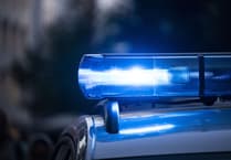 Armed police execute warrant over antique firearms