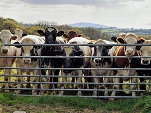 Family banned from keeping animals after causing 'shocking' suffering 