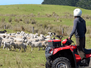 Police warn of rural thefts