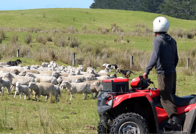 Police warn of rural thefts