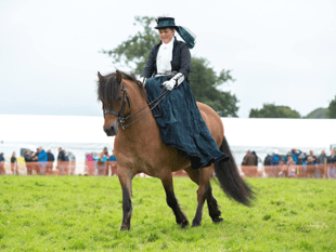 Captivating display promised at Woolsery & District Agricultural Show
