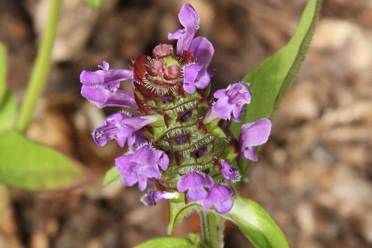 Self-heal