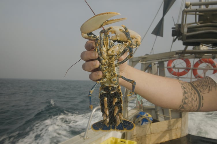 A shot from the new film. (Picture: Lucie Machin)