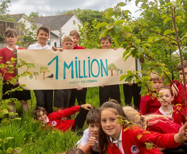 Council thanks community for helping to plant a million trees