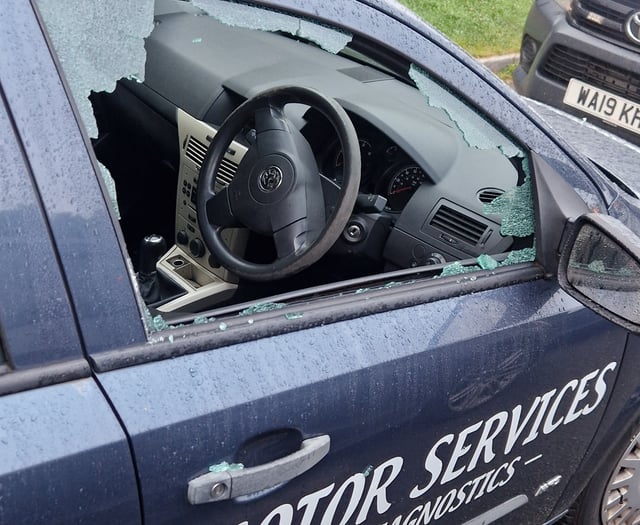 Garage owner 'gutted' after vandals trash vehicles 