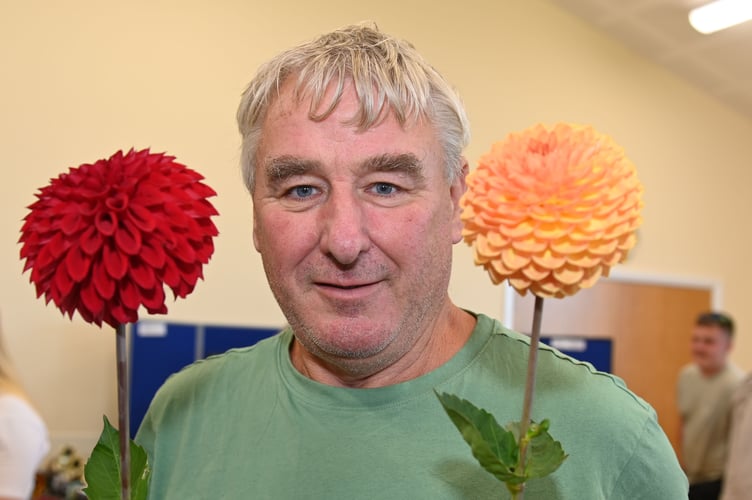 Graham Tape of Bude takes 3rd and 4th prize with his small deck and ball Dahlias (Picture: Adrian Jasper)