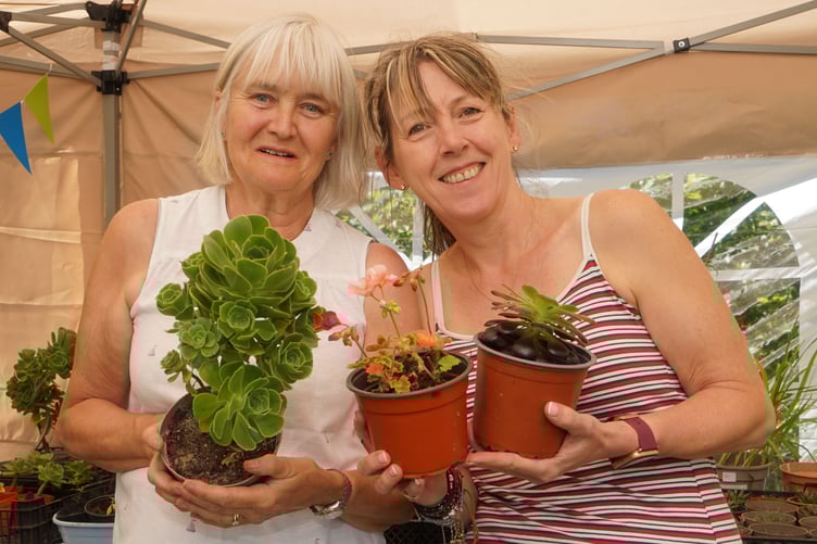 Tempting you with many plants on offer are Helen and Jane. (Picture: Adrian Jasper)