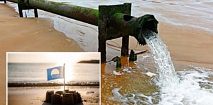 MP in 'complete shock' over sewage dumping data