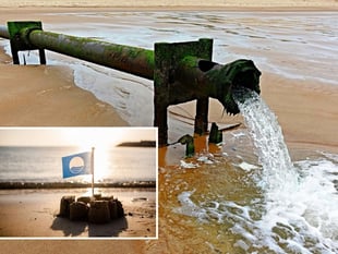 MP in 'complete shock' over sewage dumping data