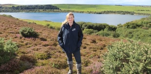Former Bodmin Moor clay pit transformed into wildlife haven 