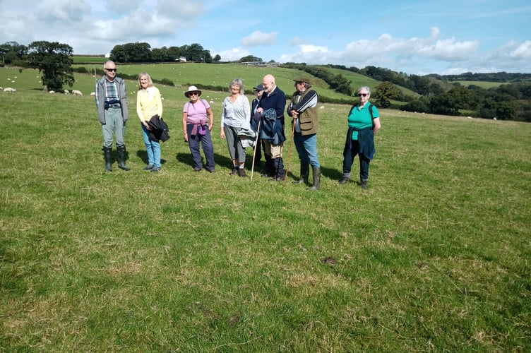 The Bratton Clovelly walk showcasing the sunshine and beautiful views.