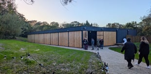 The Colour of Dinosaurs brings science to life at Sterts