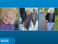 Police issue fresh update as search for St Cleer pensioner continues