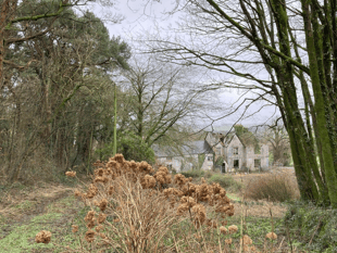 Plans to redevelop ruined manor refused