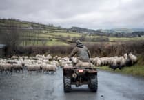 Residents urged to be vigilant following surge in rural quad bike thefts