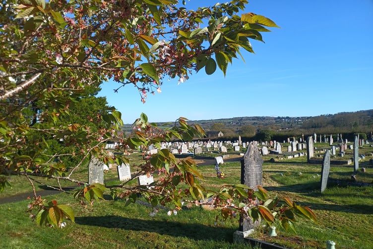 Safety checks are beginning at Callington cemetery to check the stability and integrity of memorials. (Picture: Callington Town Council)