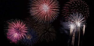 Should we ban fireworks? Millions sign petition asking for change