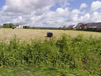 Council committee to decide if 14 homes will be built