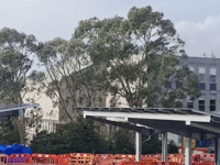 Council headquarters to be powered by sunshine