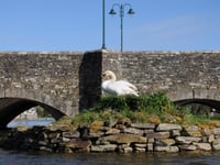 Swan Island gets a refurbishment